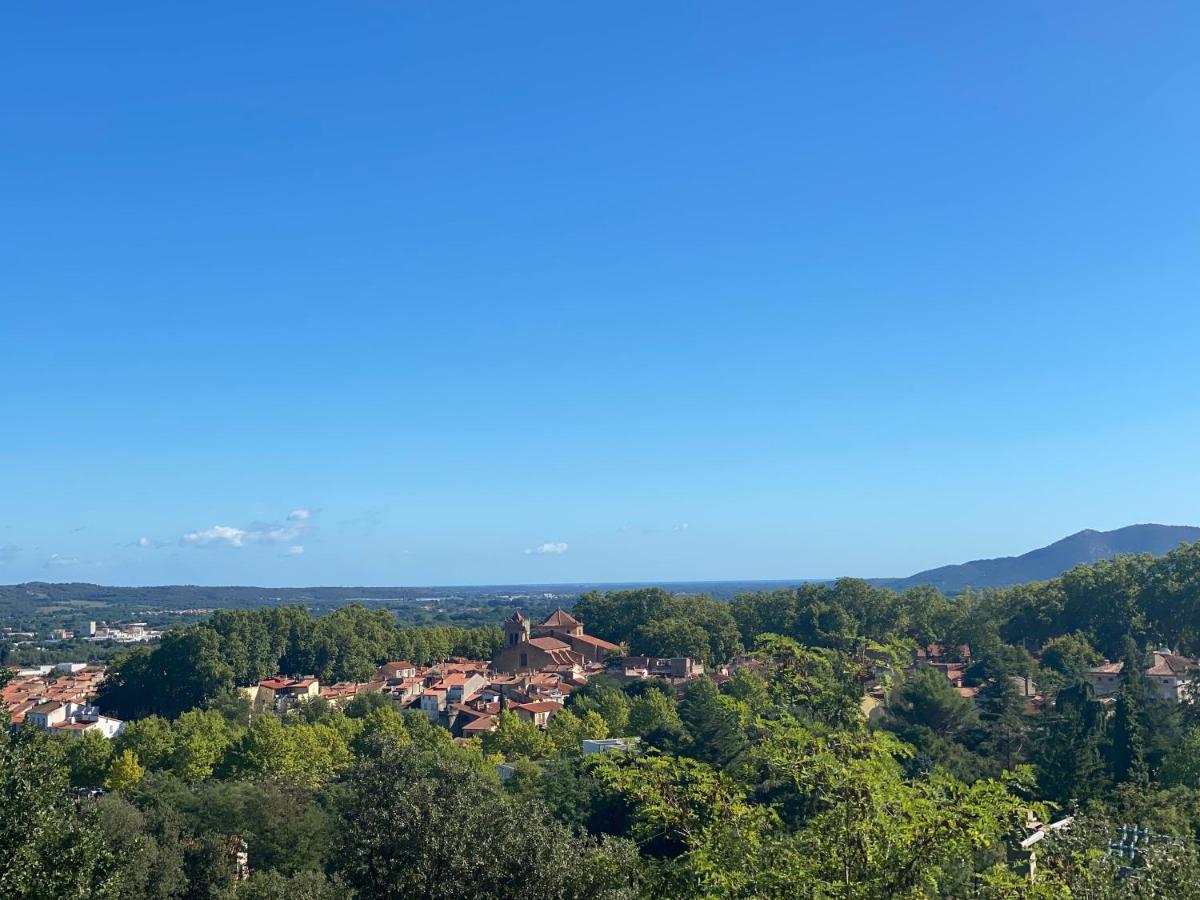Sculptors Retreat Apartment Céret Exterior photo